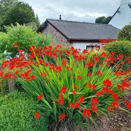 Villa Auld Ffynnon Brecon Exterior foto